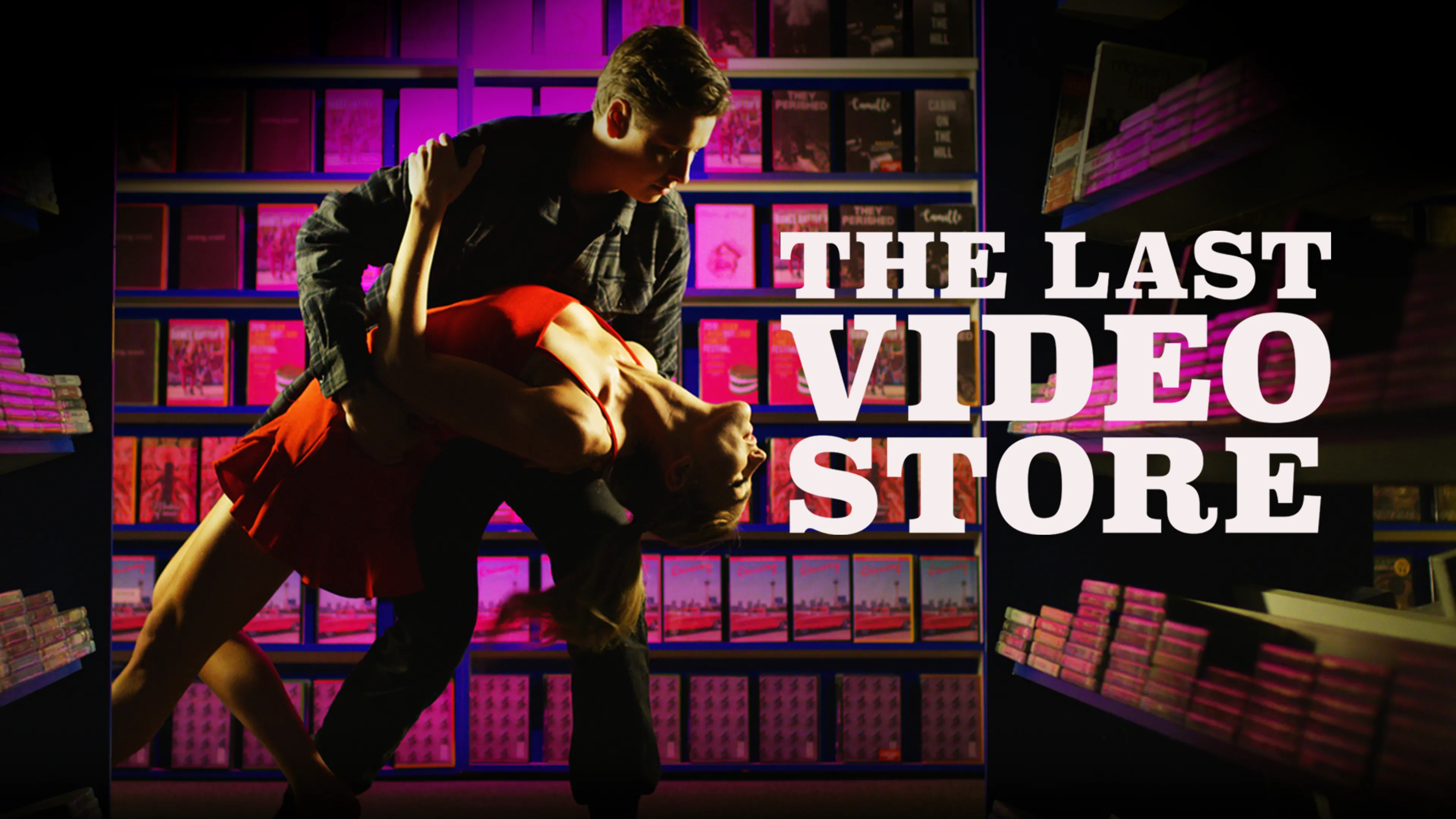 The Last Video Store poster